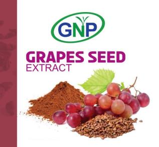 GNP GRAPES SEED EXTRACT (and logo) trademark logo