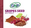 GNP GRAPES SEED EXTRACT (and logo) trademark logo