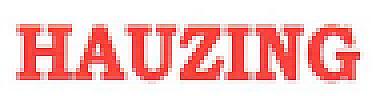 HAUZING (and logo) trademark logo