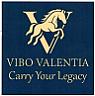 VIBO VALENTIA (and logo) trademark logo