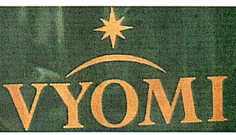 VYOMI (and logo) trademark logo