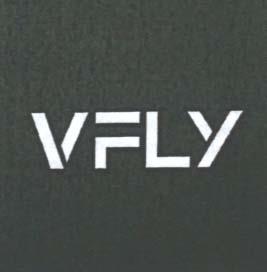 VELY (and logo) trademark logo