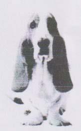 Dog Likeness (and logo) trademark logo
