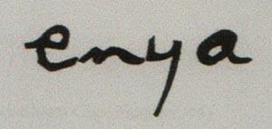 ENYA (and logo) trademark logo