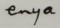 ENYA (and logo) trademark logo
