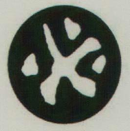 DEVICE MARK trademark logo