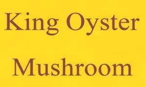 KING OYSTER MUSHROOM (and logo) trademark logo
