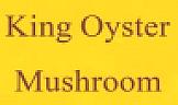 KING OYSTER MUSHROOM (and logo) trademark logo