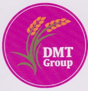 DMT GROUP (and logo) trademark logo