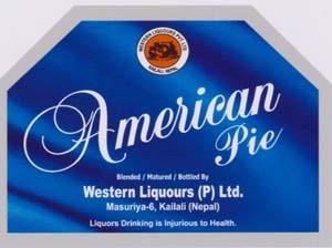 AMERICAN (and logo) trademark logo
