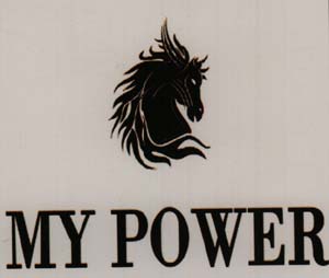 MY POWER (and logo) trademark logo