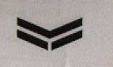 FLYING Y (DEVICE) (and logo) trademark logo