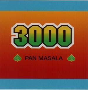 3000 (and logo) trademark logo
