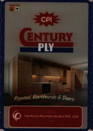 CPI CENTURY PLY (and logo) trademark logo