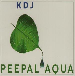 KDJ PEEPAL AQUA (and logo) trademark logo