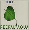 KDJ PEEPAL AQUA (and logo) trademark logo