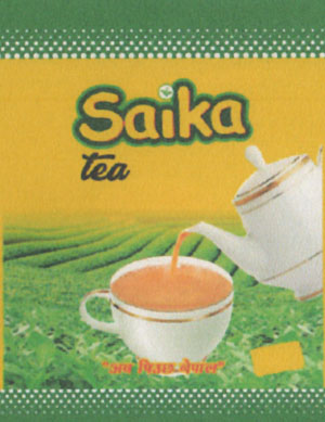 PAKARI (and logo) trademark logo