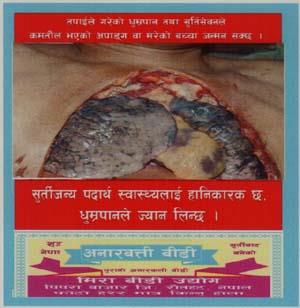 ANARBATTI BIDI (and logo) trademark logo