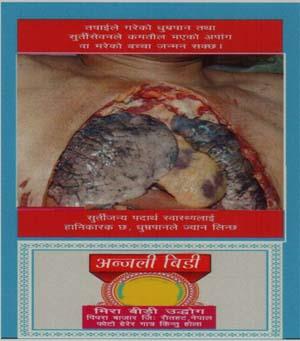 ANJALI BIDI (and logo) trademark logo