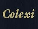 COLEXI (and logo) trademark logo
