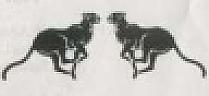 DEVICE MARK (and logo) trademark logo