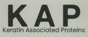 KAP (and logo) trademark logo