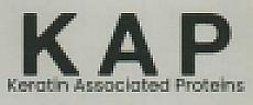 KAP (and logo) trademark logo