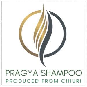 PRAGYA (and logo) trademark logo