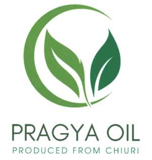 PRAGYA (and logo) trademark logo