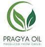 PRAGYA (and logo) trademark logo
