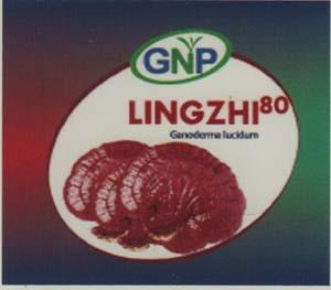 GNP LINGZHI (and logo) trademark logo