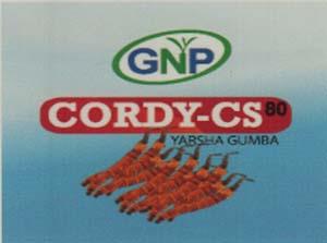 GNP CORDY - CS (and logo) trademark logo