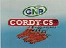 GNP CORDY - CS (and logo) trademark logo