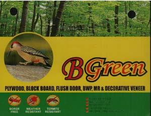 B GREEN (and logo) trademark logo