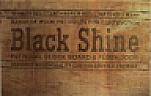 BLACK SHINE (and logo) trademark logo